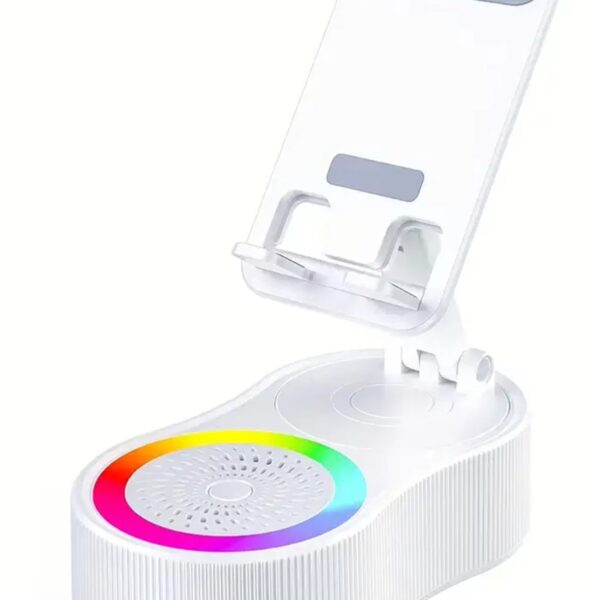 MULTI-FUNCTION WIRELESS INDUCTION SPEAKER